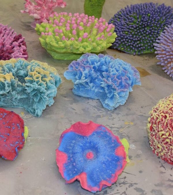 Beautiful Constructed Corals - Actual Works Image 1 - Creative Coral Design
