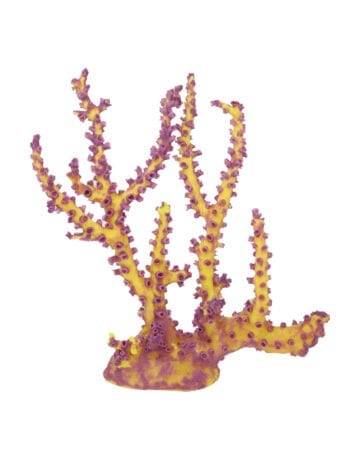 Custom Two Tone Octopus Coral 128 Image - Creative Coral Design