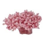 Pink Cauliflower Coral 166 Image - Creative Coral Design