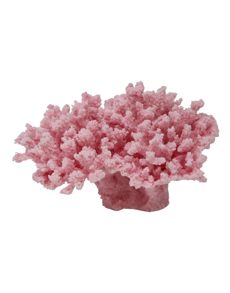 Pink Cauliflower Coral 166 Image - Creative Coral Design