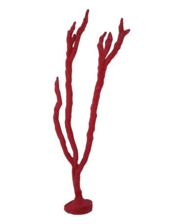 Red Rope Sponge Coral 187 Image - Creative Coral Design