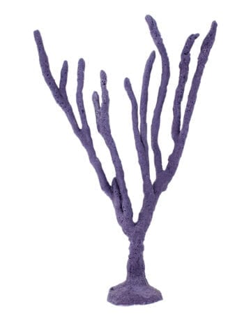 Purple Sea Whip Coral 193 Image - Creative Coral Design
