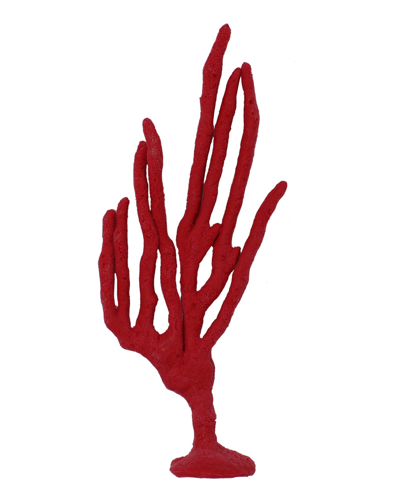 Red Finger Sponge Coral 194 Image - Creative Coral Design