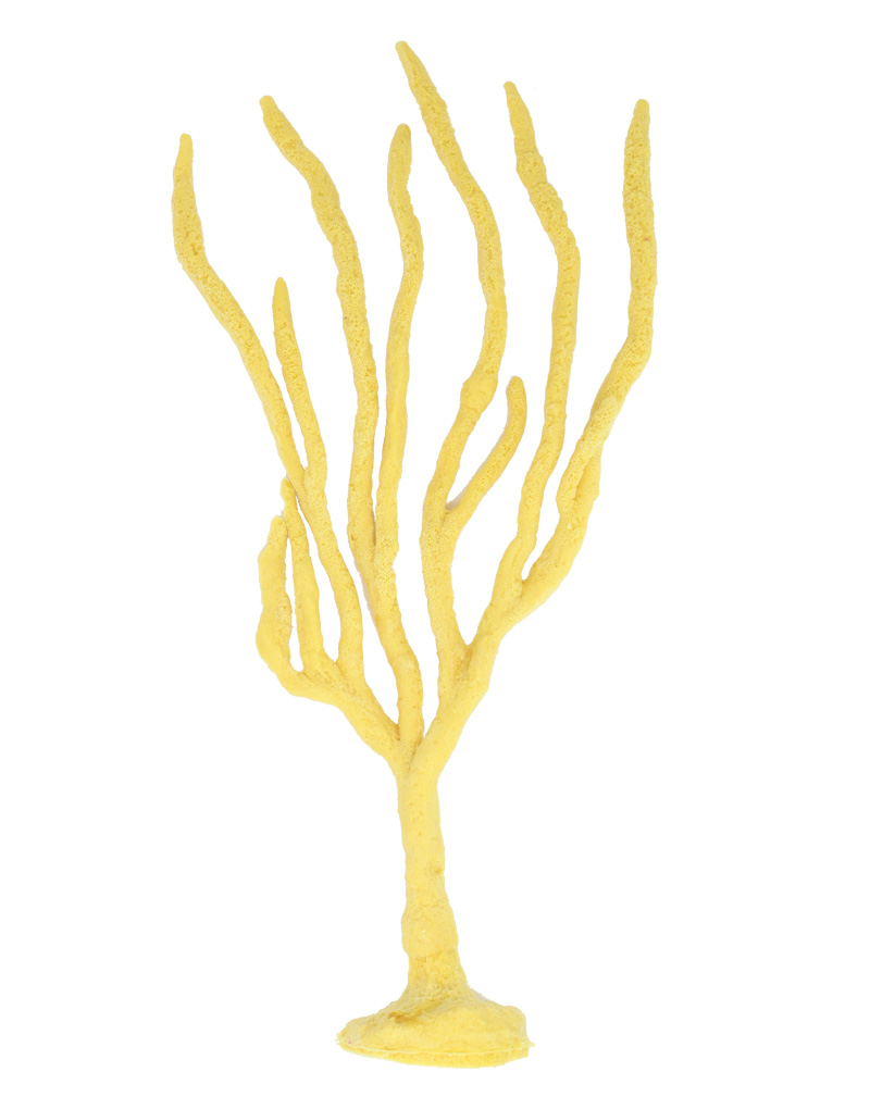 Gold Finger Sponge Coral 195 Image - Creative Coral Design