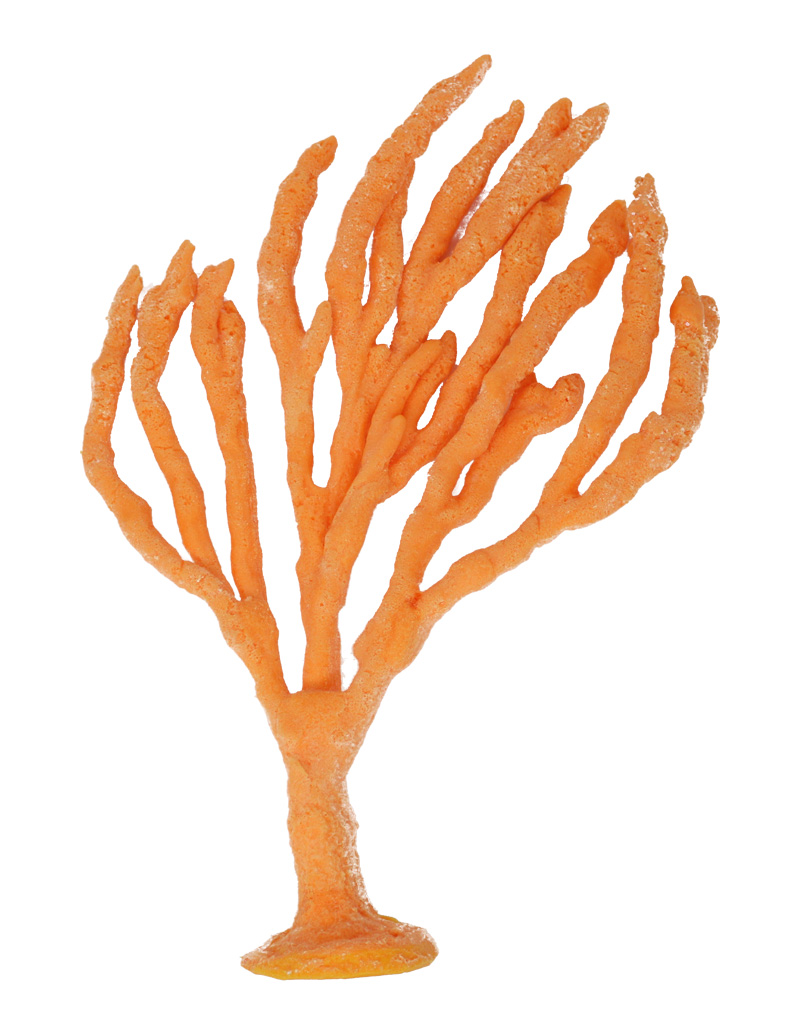 Orange Finger Sponge Coral 198 Image 2 - Creative Coral Design