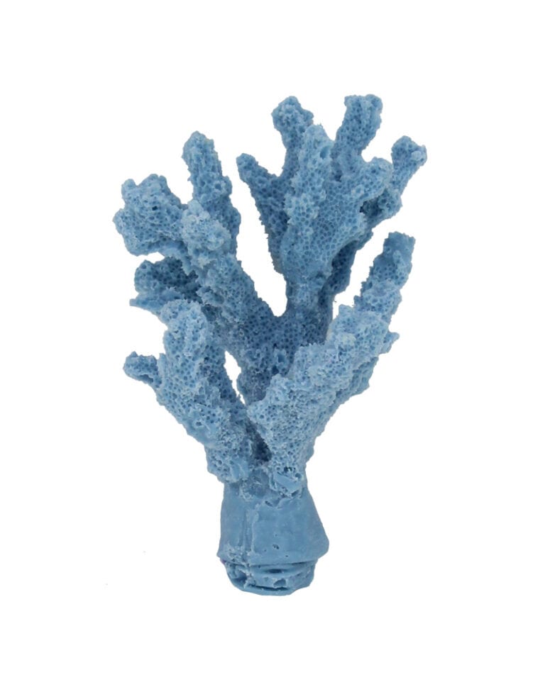 Branch Coral 275 For Sale | Creative Coral Design