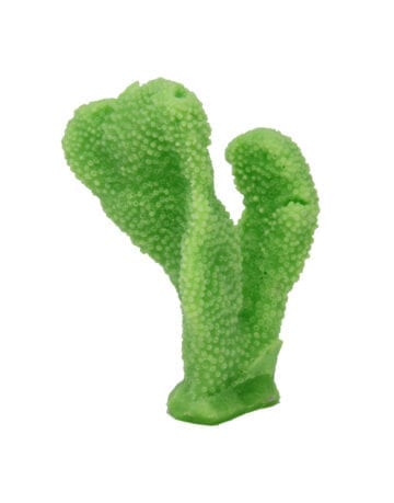 Light Green Cat's Paw Coral 303 Image - Creative Coral Design