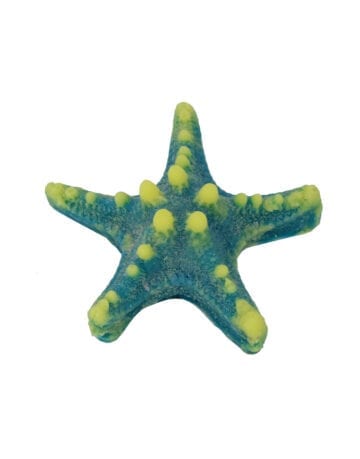 Blue Yellow Horned Sea Star 343 Image - Creative Coral Design