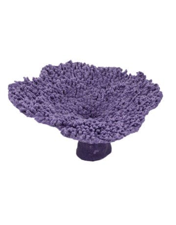 Purple Table Coral 402 Image 2 - Creative Coral Design