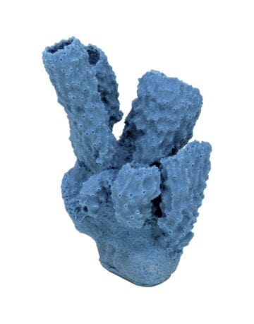 Blue Grey Sponge Coral 505 Image - Creative Coral Design