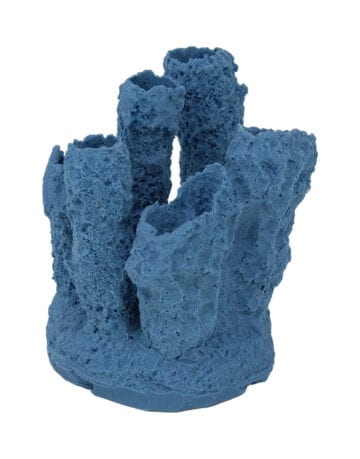 Blue Grey Tube Sponge Coral 509 Image - Creative Coral Design