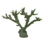 Dark Green Branch Coral 531 Image - Creative Coral Design