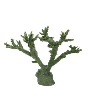 Dark Green Branch Coral 531 Image - Creative Coral Design