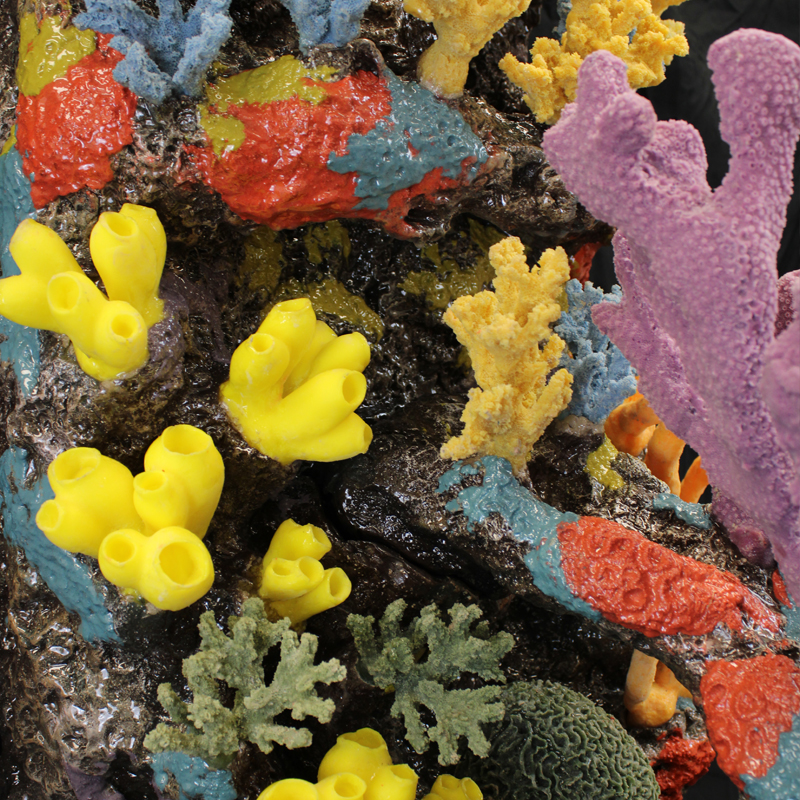 Creative Coral Design Catalog Image