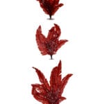 Red Marine Seaweed Image - Creative Coral Design