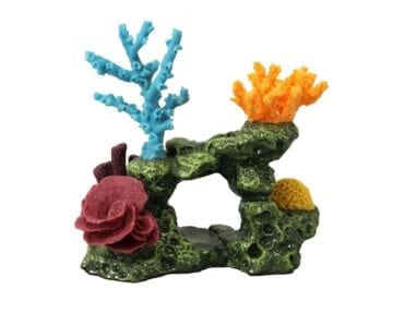 Green Turtle Reef Island 780 Saltwater Image 3 - Creative Coral Design