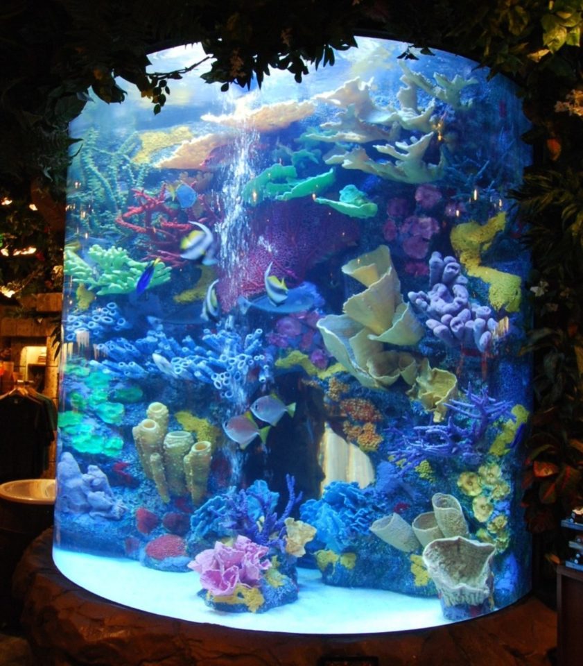 Artificial Coral Aquarium Decor for Saltwater and Freshwater Fish Aquariums 