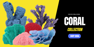 Coral Collection Banner - Creative Coral Design