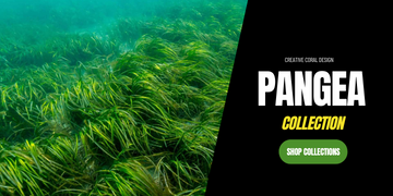 Pangea Collection Banner - Creative Coral Design