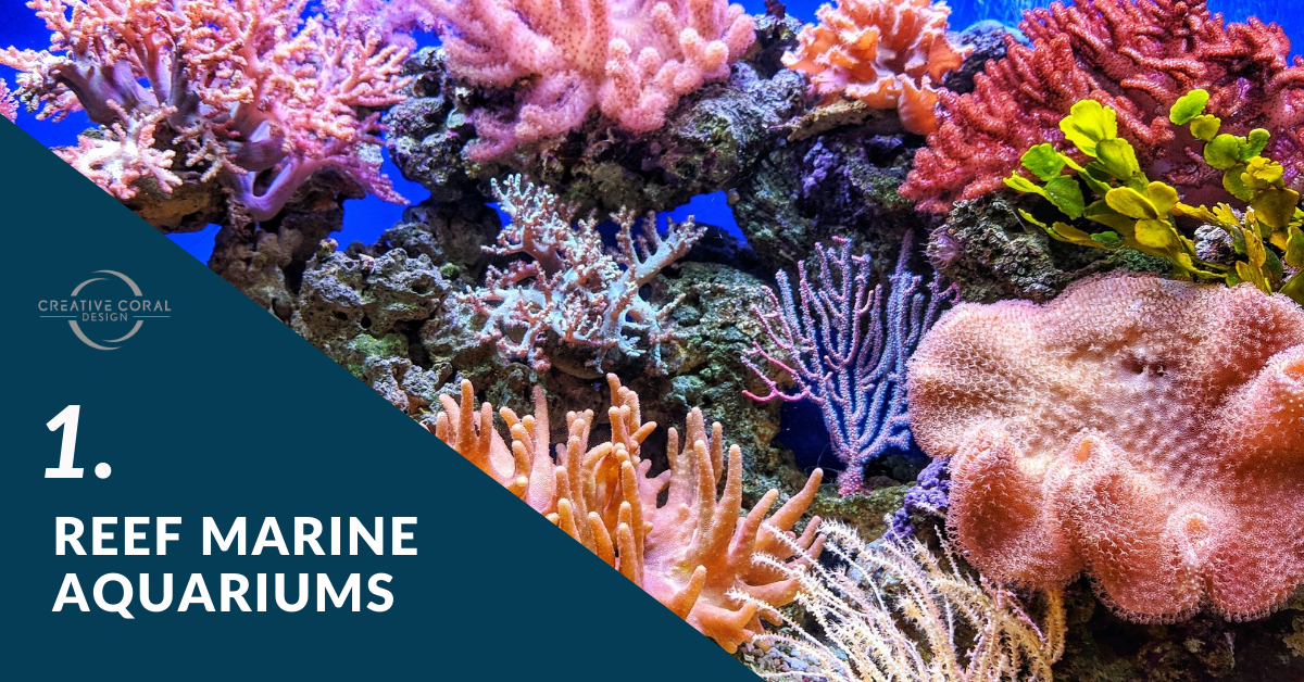 Reef Marine Aquariums - Creative Coral Design