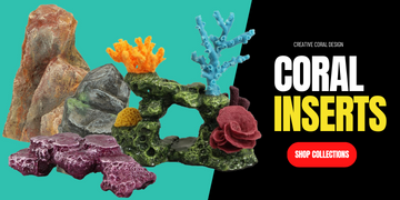 Coral Inserts Collection Banner - Creative Coral Design