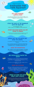 How to Clean a Freshwater Fish Tank Aquarium Infographic - Creative ...