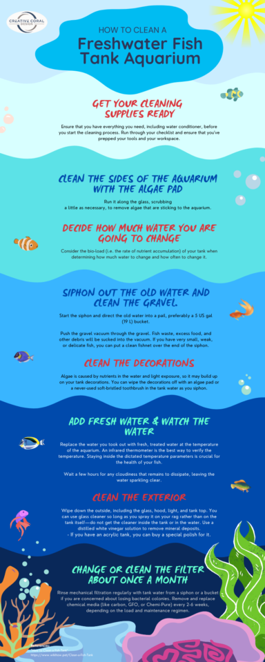 How to Clean a Freshwater Fish Tank Aquarium Infographic
