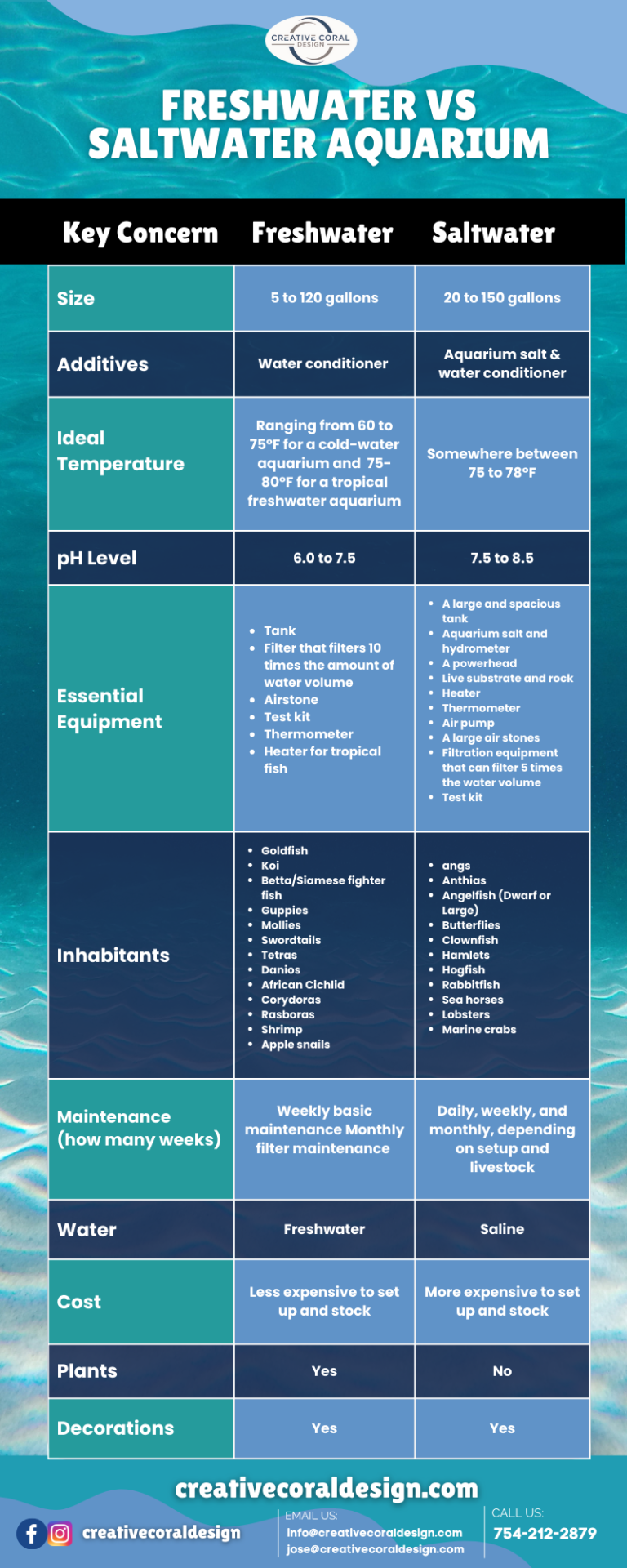 Freshwater vs Saltwater Aquarium What’s Best for Your Home? Creative