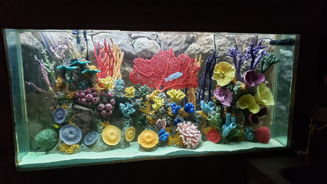 Custom Made Aquarium Insert - Residential