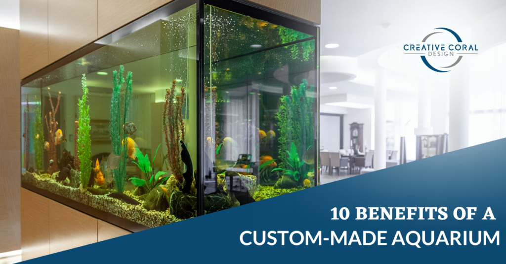10 Benefits of a CustomMade Aquarium Creative Coral Design