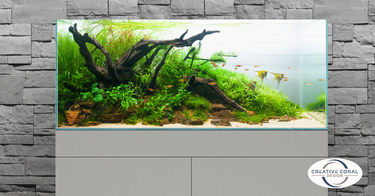 Aquarium with Plants