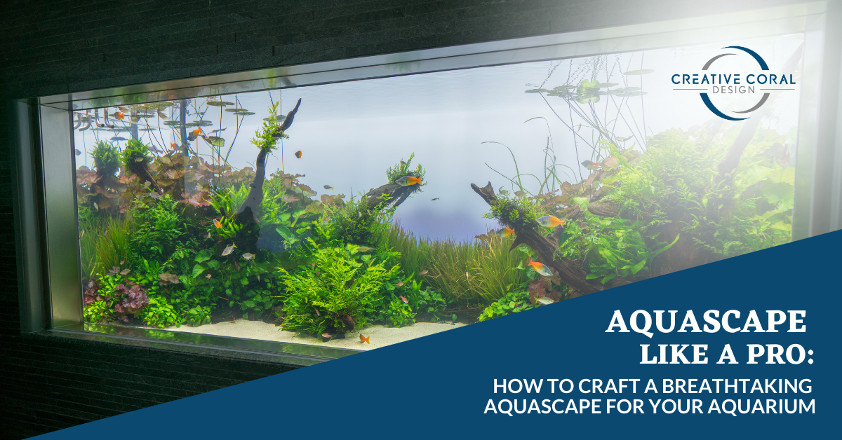 Aquascape like a Pro Blog IMAGE
