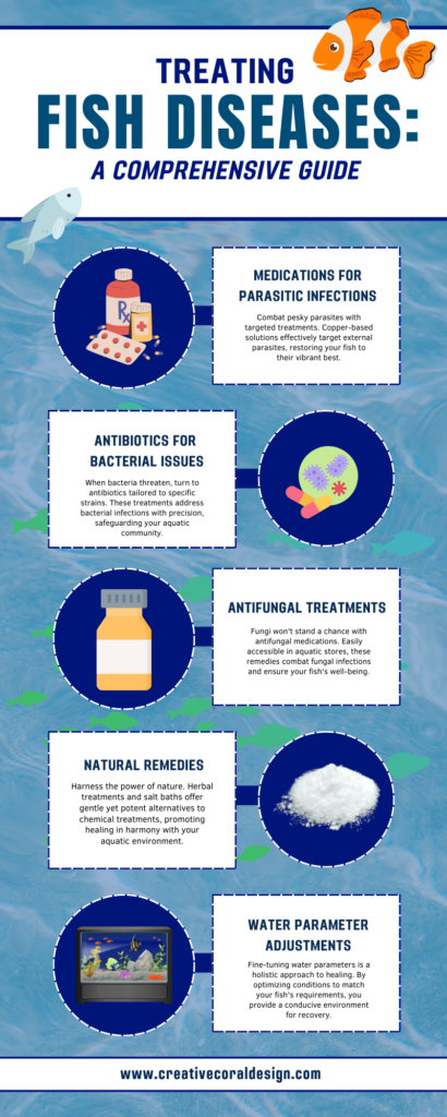 Treating Fish Disease Guide Infographic