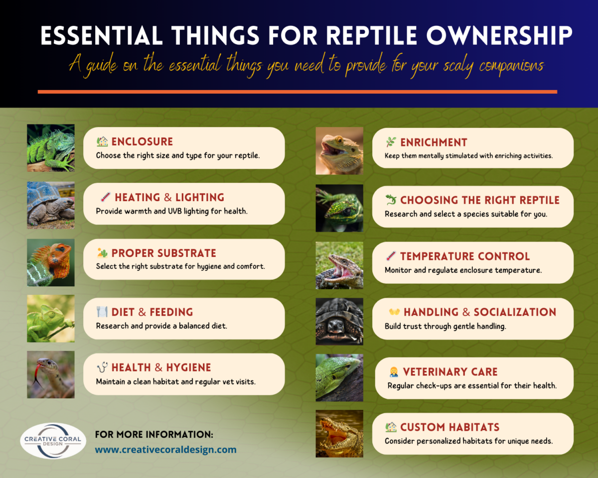 Essential Things for Reptile Ownership Infographic