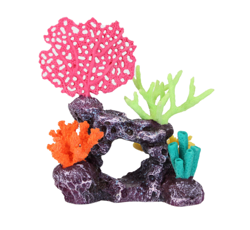 Turtle Reef Island - True Coraline 1043 by 960 pixels